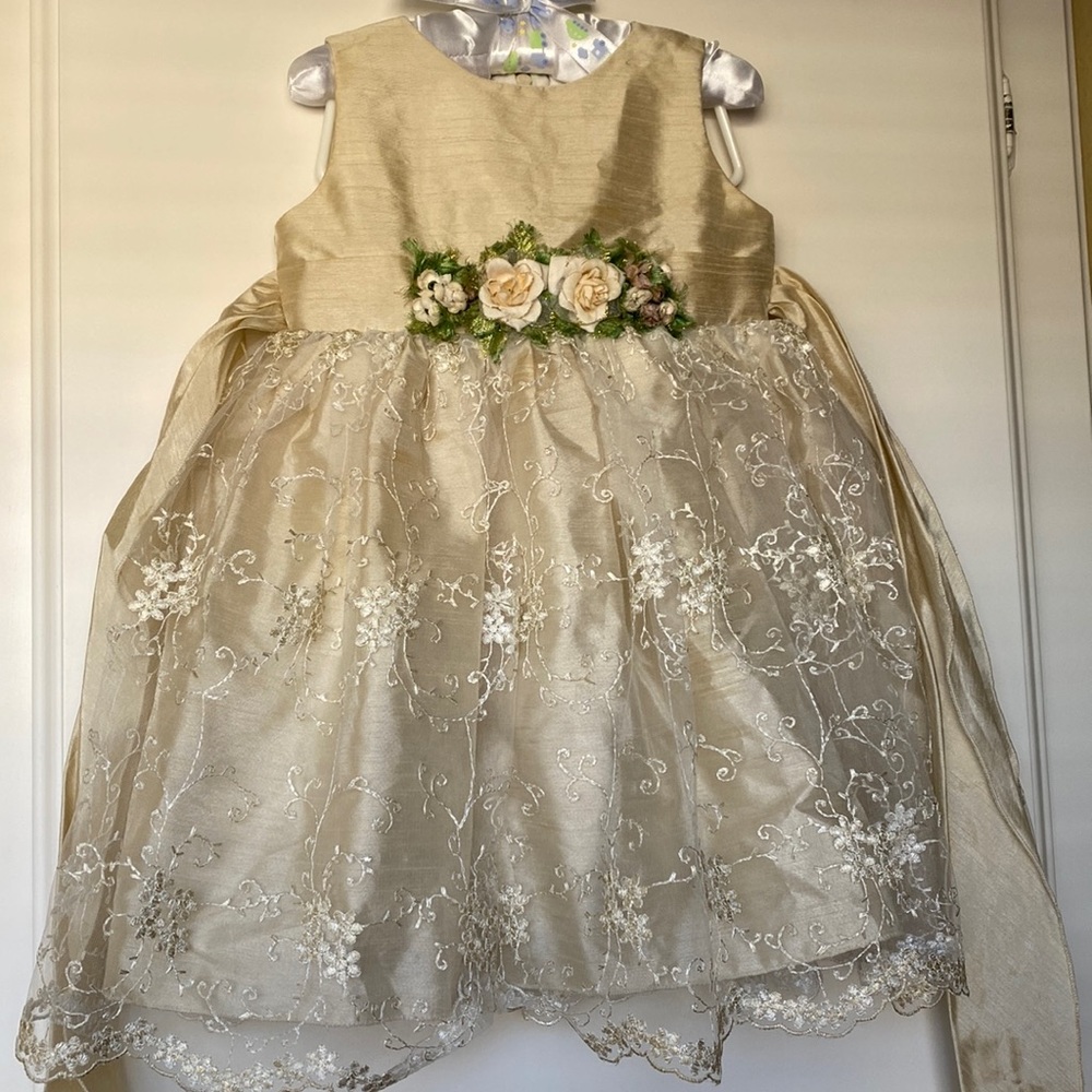 Miss Trendy Lace embroidered Girl Dress Age 2